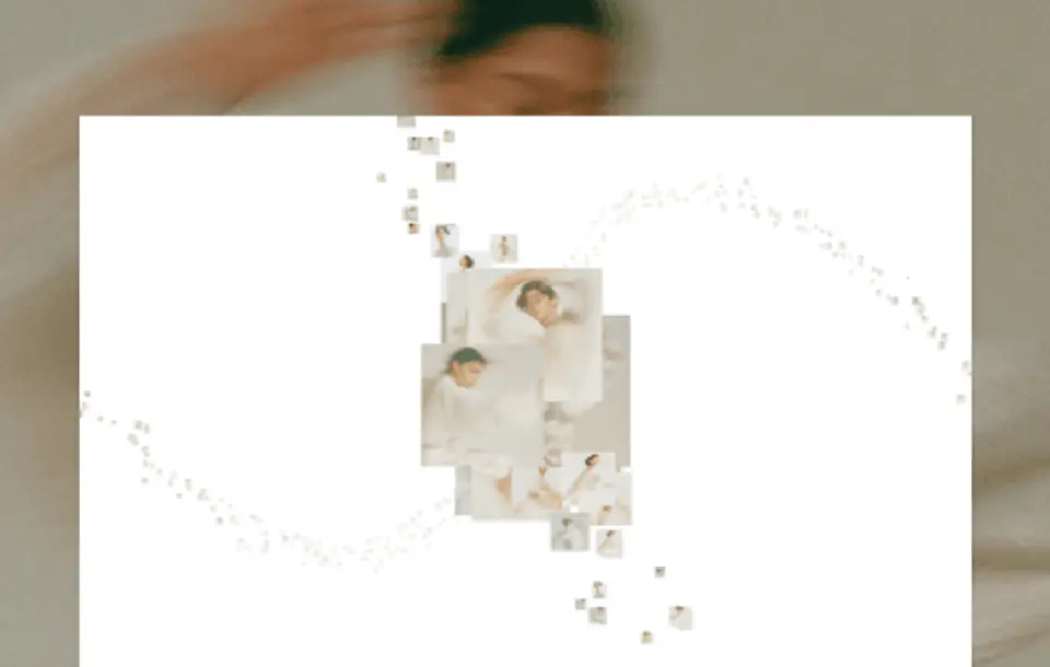 Curve Gallery — source preview